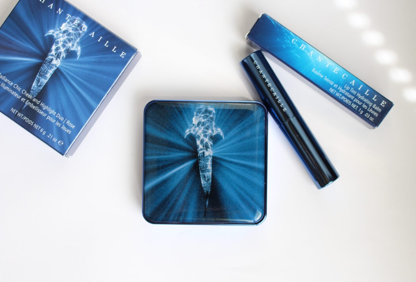 Chantecaille 2020 makeup