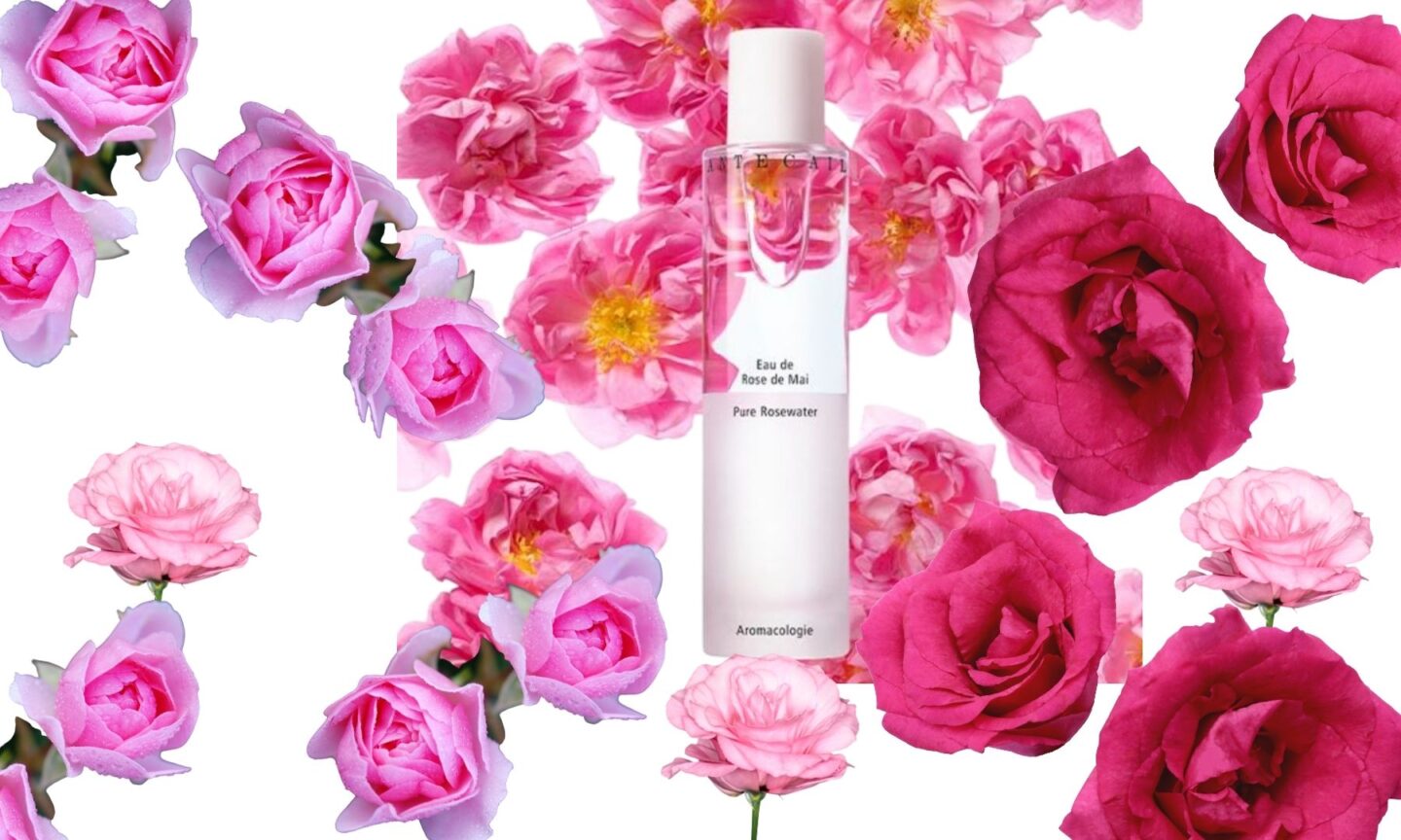 Chantecaille Eau de Rose de Mai Pure rosewater review, Face mist, 