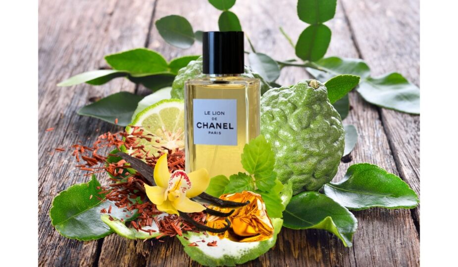 Le Lion de Chanel Eau de Parfum Review - Angela van Rose